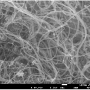 FE-SEM Multi Walled Carbon Nanotubes