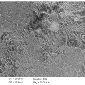 SEM Multi Walled Carbon Nanotubes