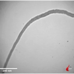 TEM Multi Walled Carbon Nanotubes