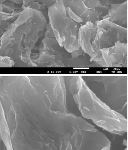 Reduced Graphene Oxide FESEM