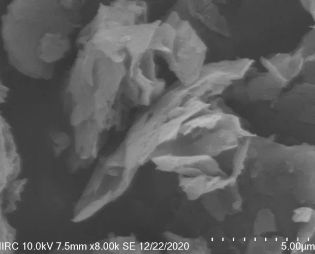 Graphene Nanoplatelets SEM 1