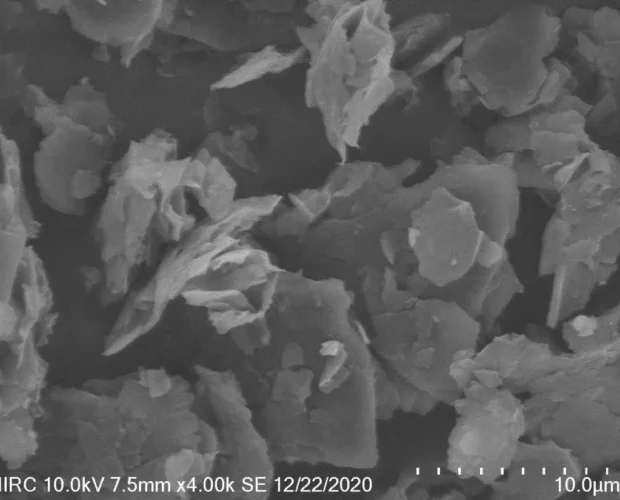 Graphene Nanoplatelets SEM