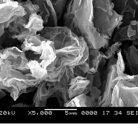 Reduced Graphene Oxide SEM